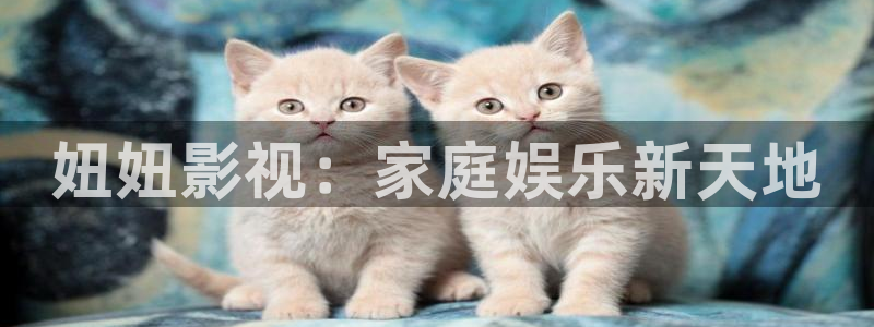 51视频免费播放：妞妞影视：家庭娱乐新天地