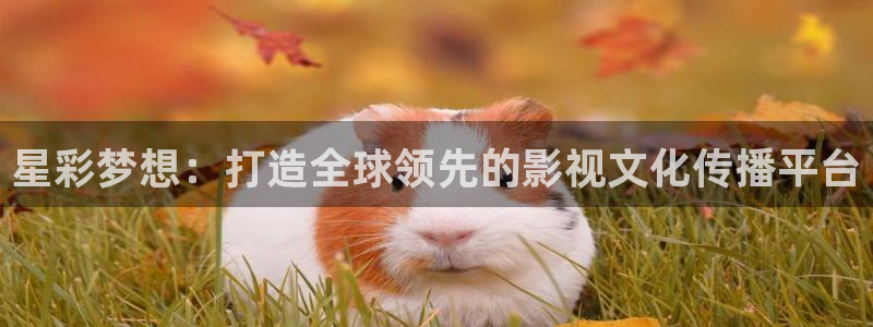 51视频你懂的：星彩梦想：打造全球领先的影视文化传播平台