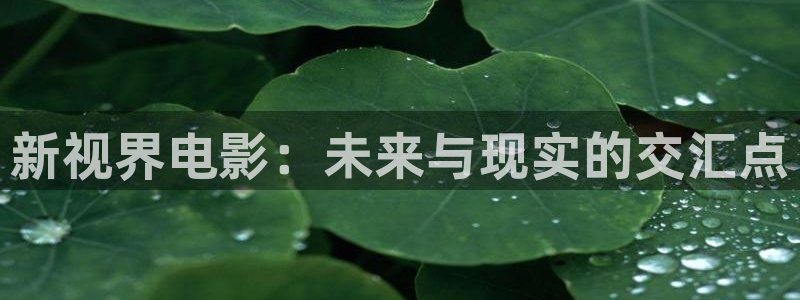 51视频在：新视界电影：未来与现实的交汇点