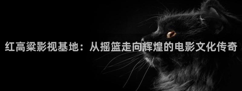 免费51视频下载：红高粱影视基地：从摇篮走向辉煌的电影文化传奇