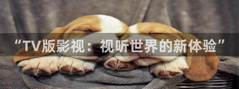 51视频观看免费观看：“TV版影视：视听世界的新体验”