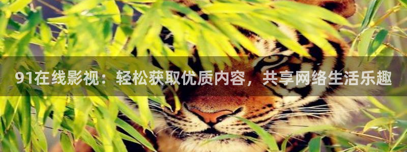 51视频免费在线观看：91在线影视：轻松获取优质内容，共享网络生活乐趣