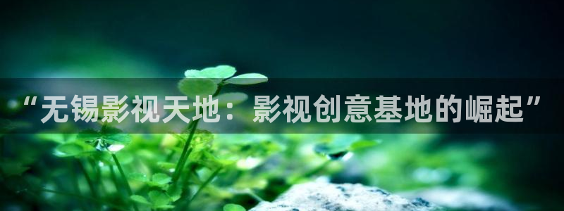 51视频黄：“无锡影视天地：影视创意基地的崛起”