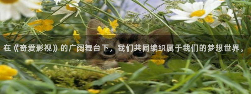 51视频下载怎么弄：在《奇爱影视》的广阔舞台下，我们共同编织属于我们的梦想世界。