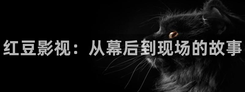 51视频动漫：红豆影视：从幕后到现场的故事
