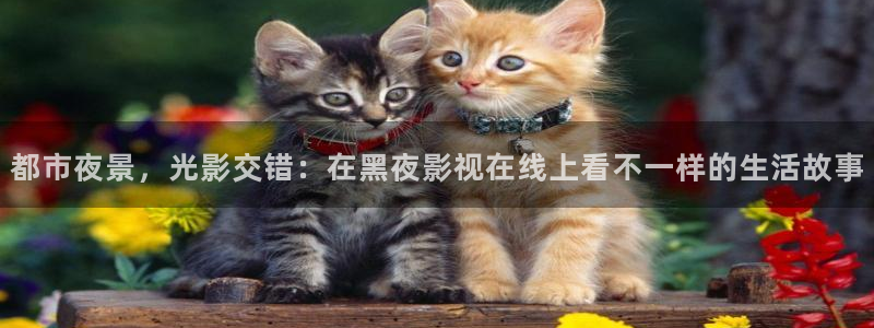 www.51视频在线观看：都市夜景，光影交错：在黑夜影视在线上看不一样的生活故事