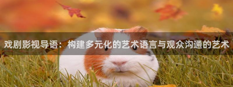 51视频在线观看网站：戏剧影视导语：构建多元化的艺术语言与观众沟通的艺术