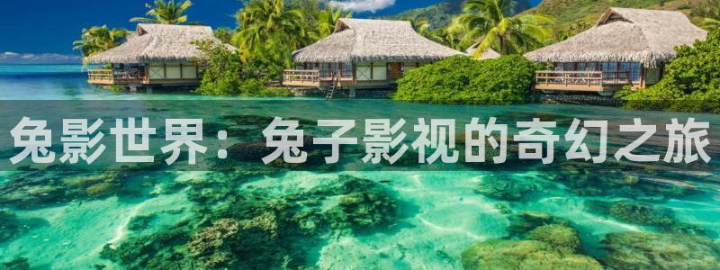51视频.com：兔影世界：兔子影视的奇幻之旅