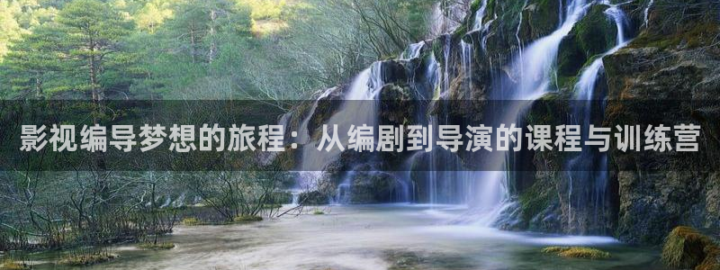 51视频专区：影视编导梦想的旅程：从编剧到导演的课程与训练营